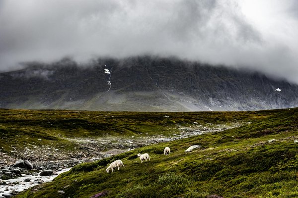Ultimate guide to enjoying the charm of a traditional british village cricket match: tips for an unforgettable experience