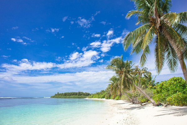 Discover the Enchantment: Guided Adventures through England's Historic Saxon Churches and Scenic Countryside