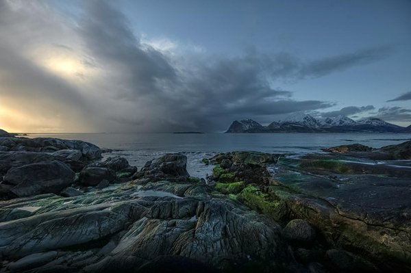 Explore Scotland's Top Vacation Rentals for an Unbeatable Distillery Experience