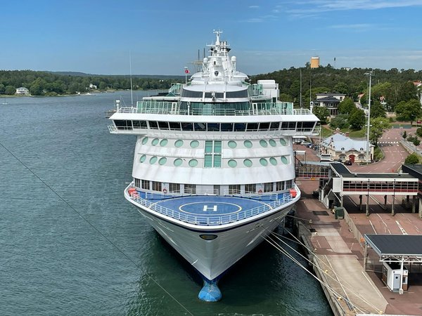 Dive into Authentic British Wool Dyeing: The Ultimate Insider's Guide to Captivating Workshops for Adventurous Travelers